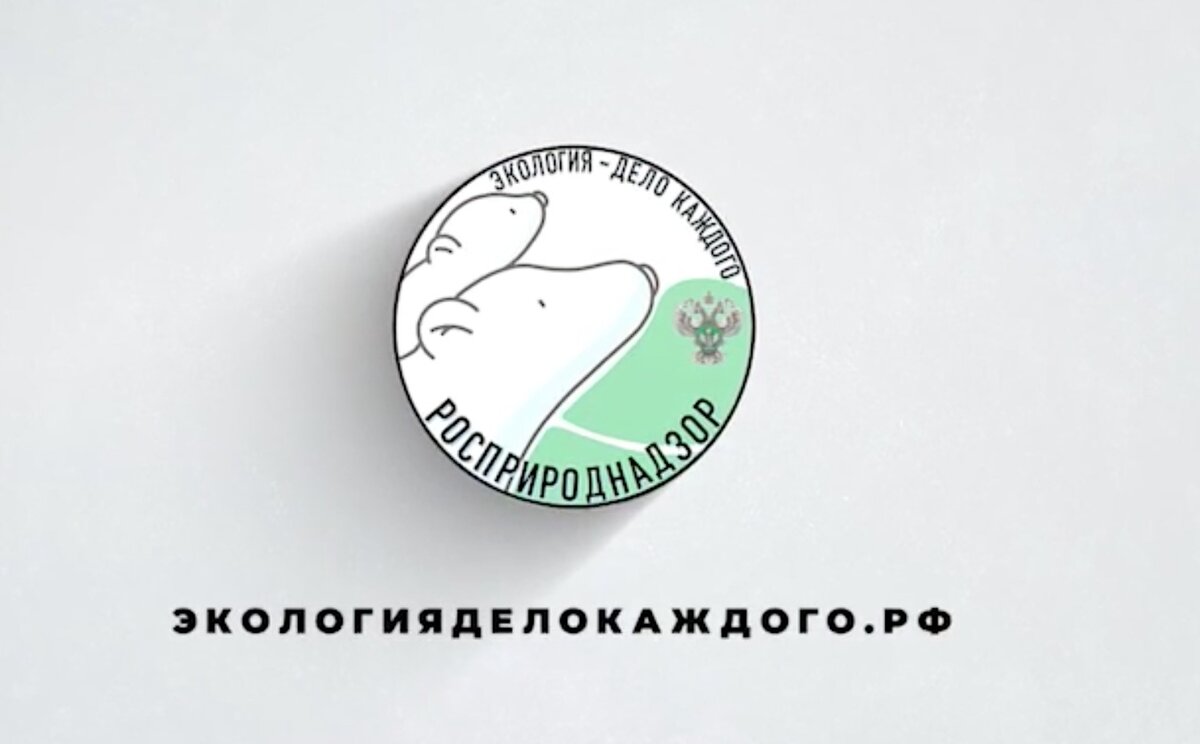 Детский телекоммуникационный проект экологическое содружество