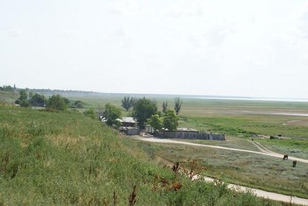 Источник фото: wikimedia