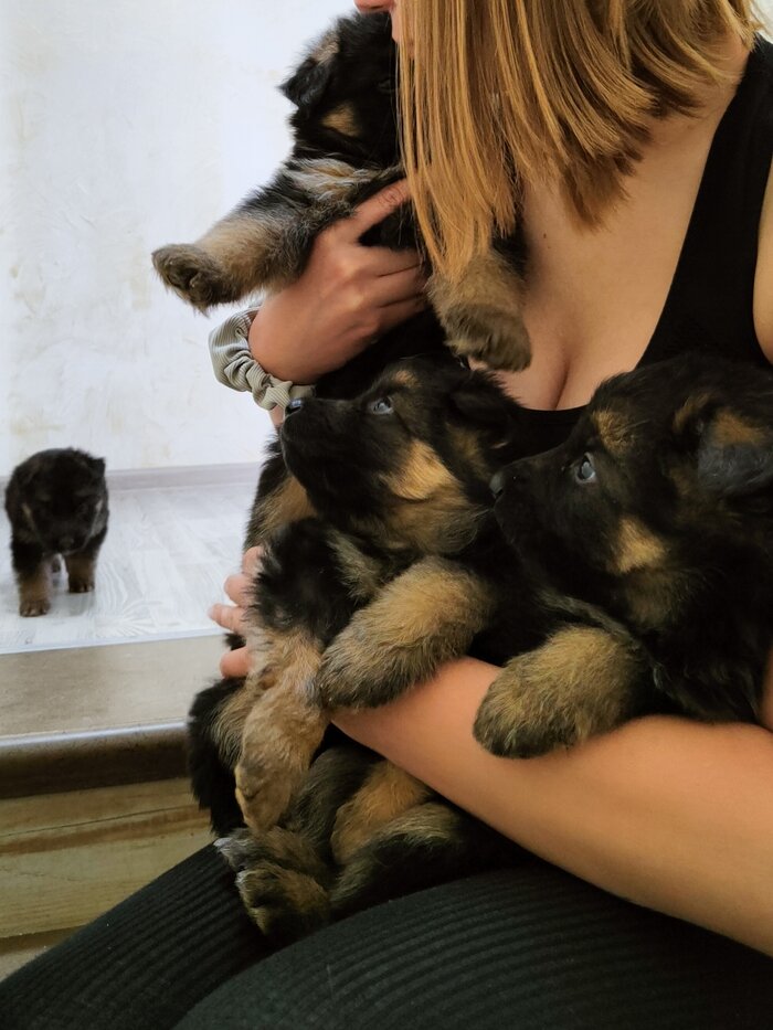 Листайте вправо, чтобы увидеть больше изображений