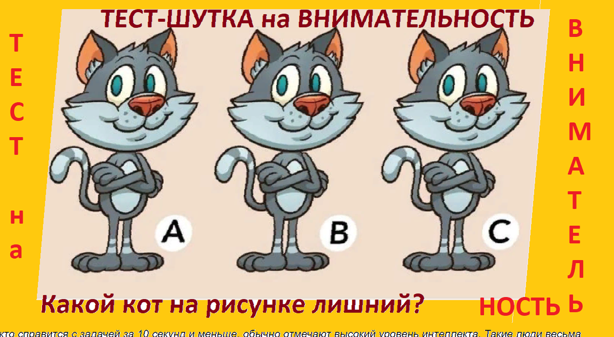 Котики лишнего не скажут песня. Стих про кошку. Психоз я говорю с котом. Текст про котиков. Острый психоз говоришь с котом.