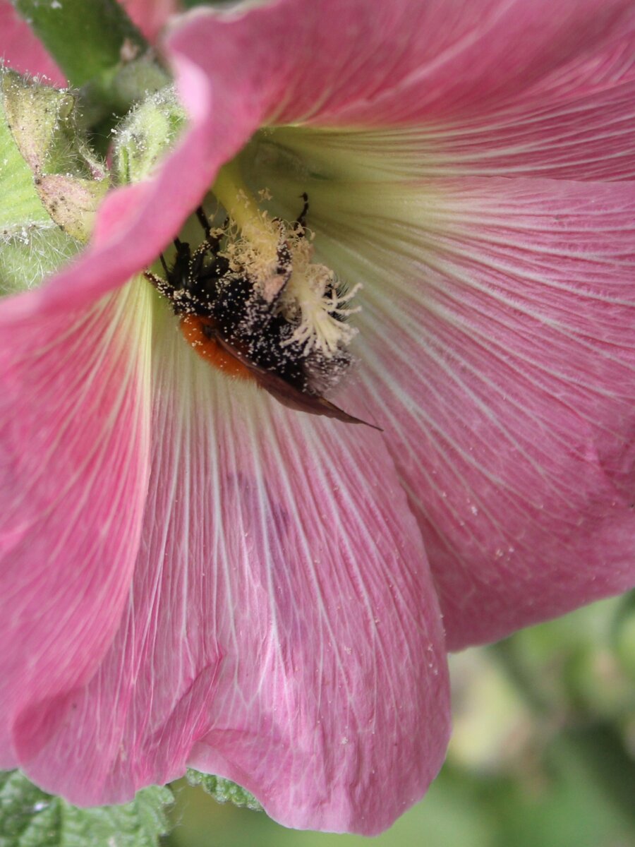 Кажется, они при этом улыбаются