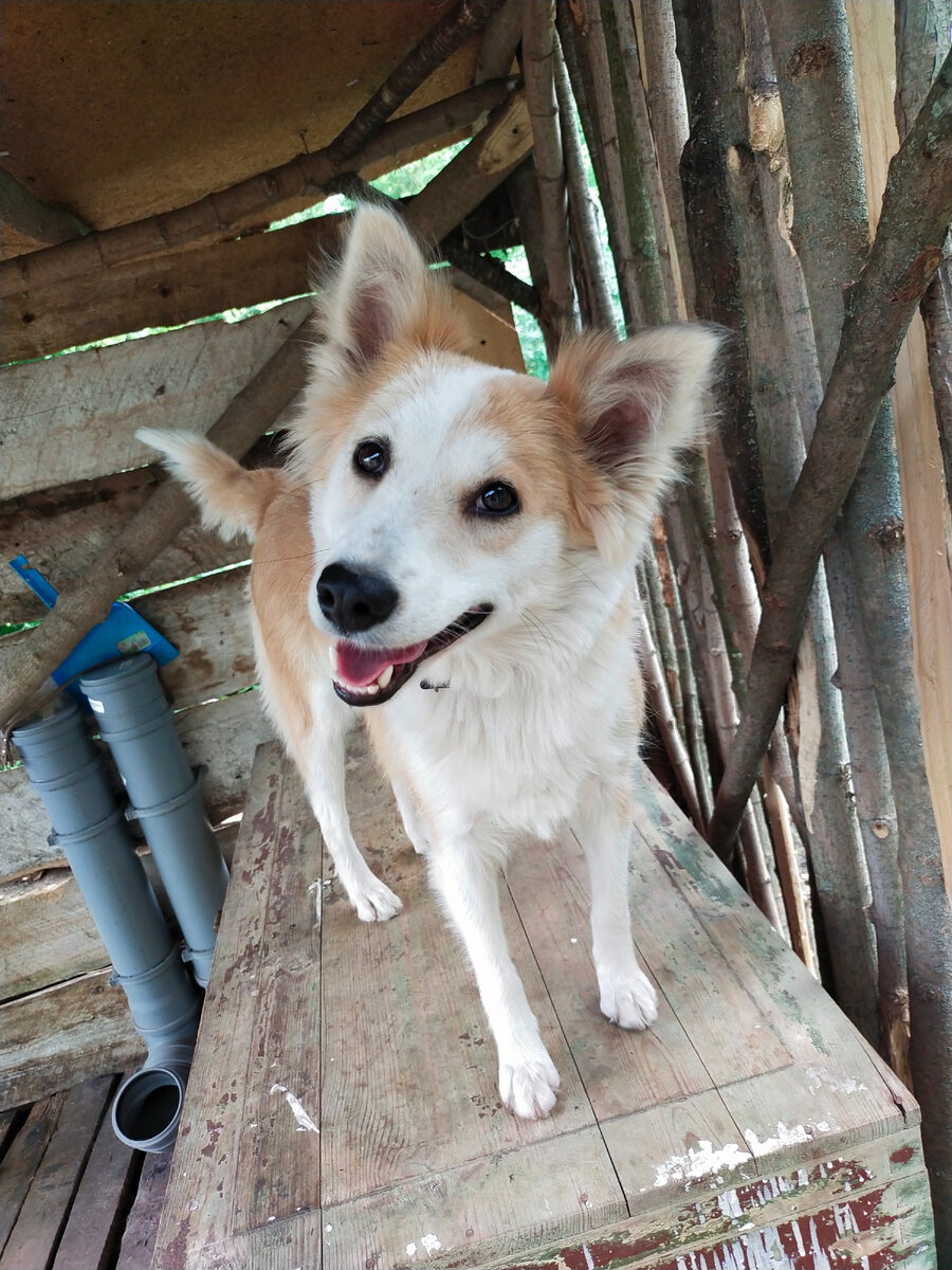 Любопытная девочка 