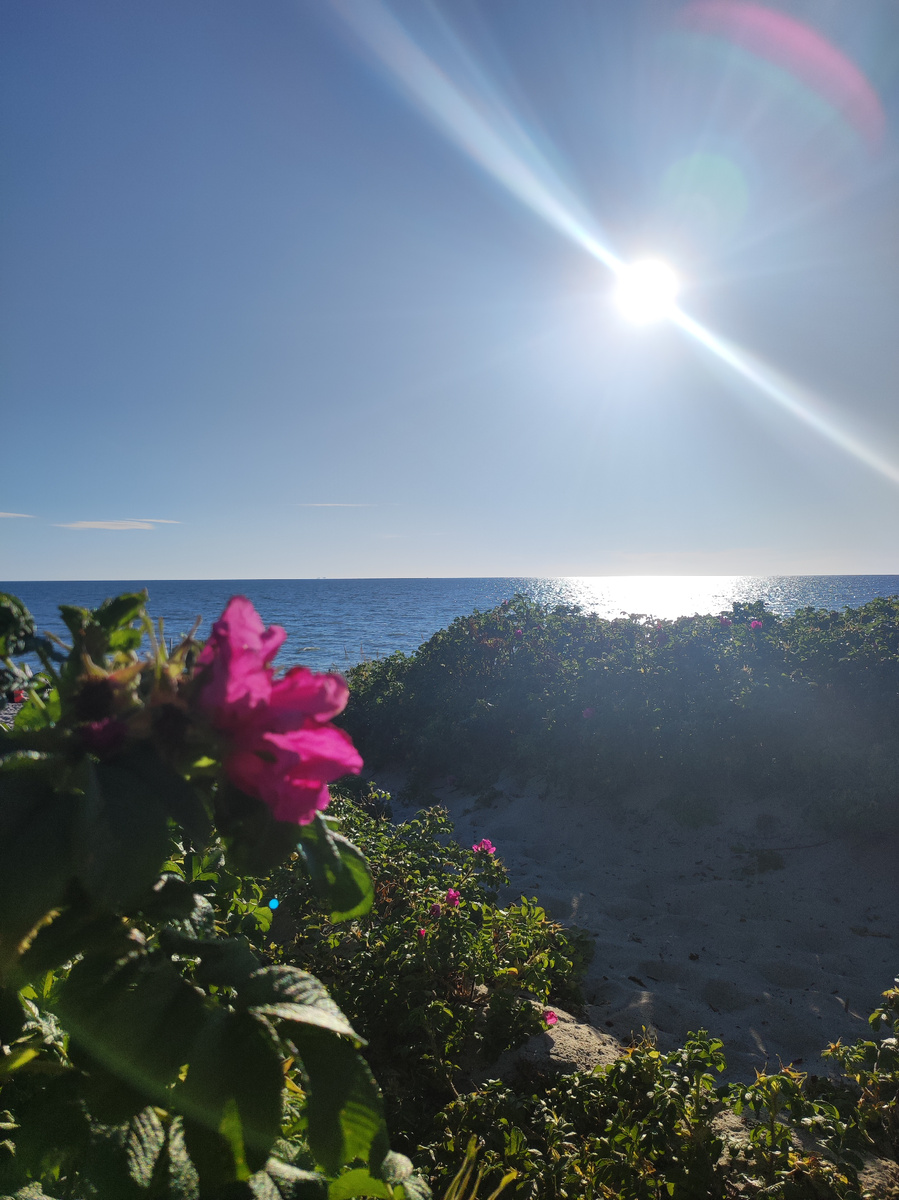 Где-то в районе Балтийска, Калининградская область 