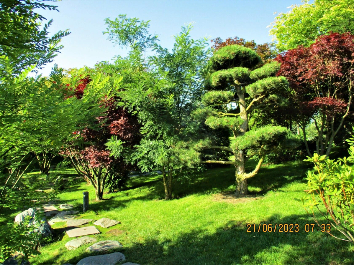 японский сад в парке галицкого в краснодаре