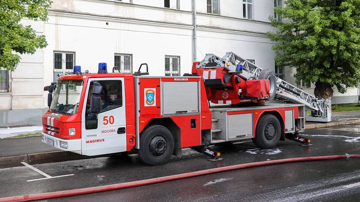    Фото: Мобильный репортер / АГН Москва