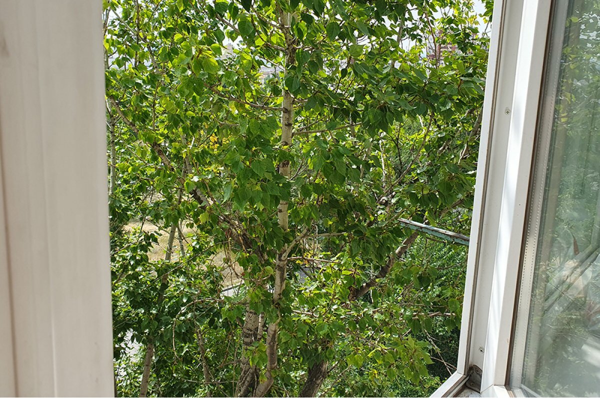    Пьяный челябинец выбросил из окна пятого этажа холодильник и микроволновку