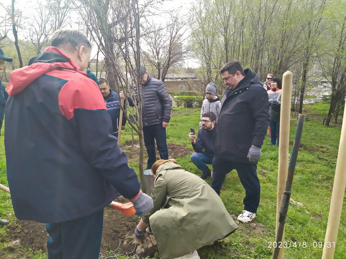 Праздник Древонасаждения в парке