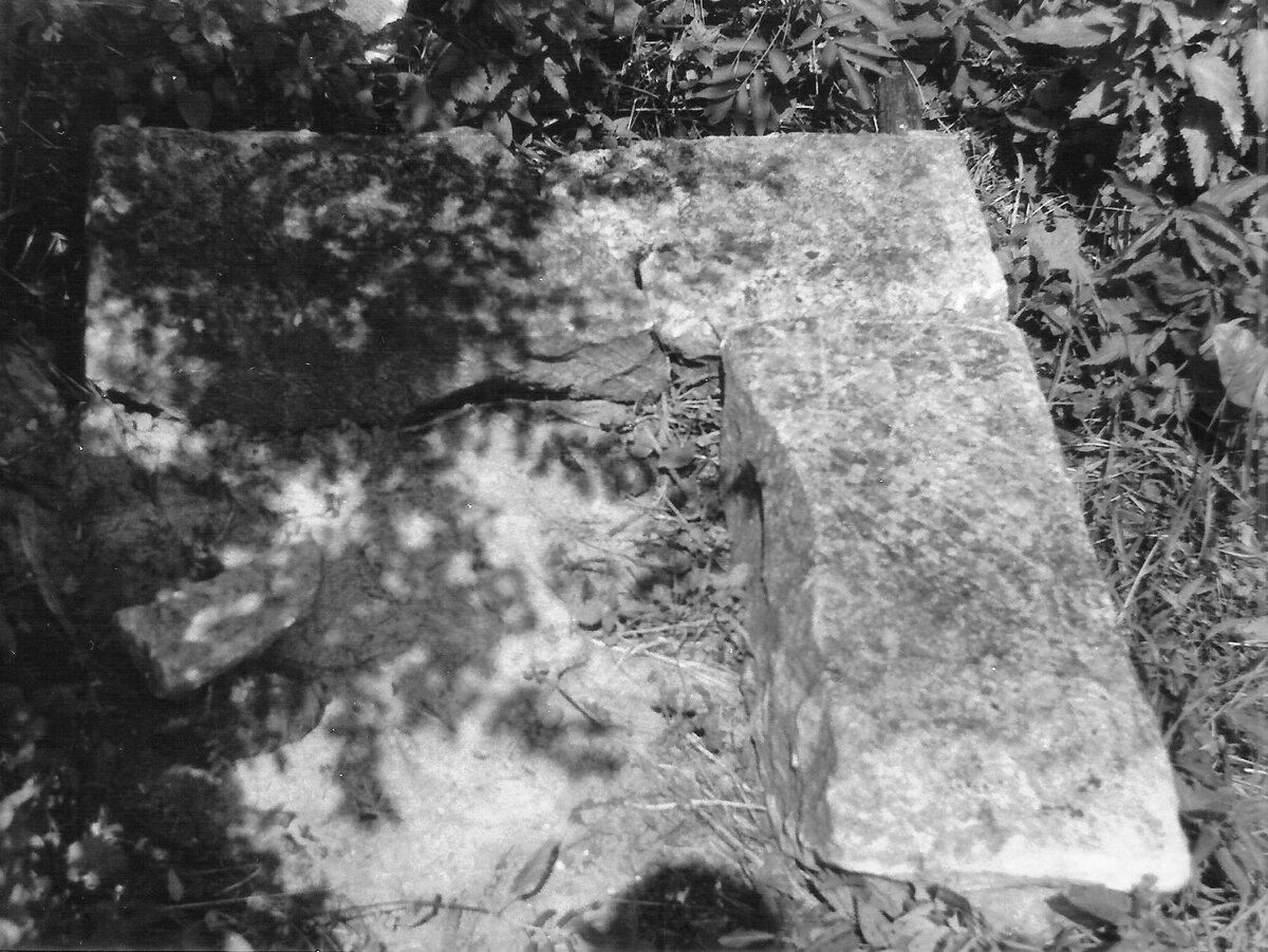 Вот как оправдывают лесорубы хаотичную прокладку ими глубоких, до глины, трелёвочных дорог через леса, поверх старых аккуратных грунтовок, ещё и разрушая при этом древние поселения и могильники разных-43