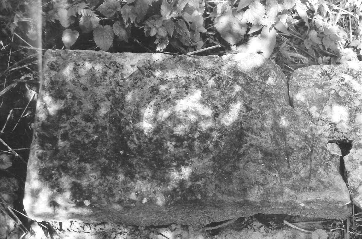 Вот как оправдывают лесорубы хаотичную прокладку ими глубоких, до глины, трелёвочных дорог через леса, поверх старых аккуратных грунтовок, ещё и разрушая при этом древние поселения и могильники разных-45