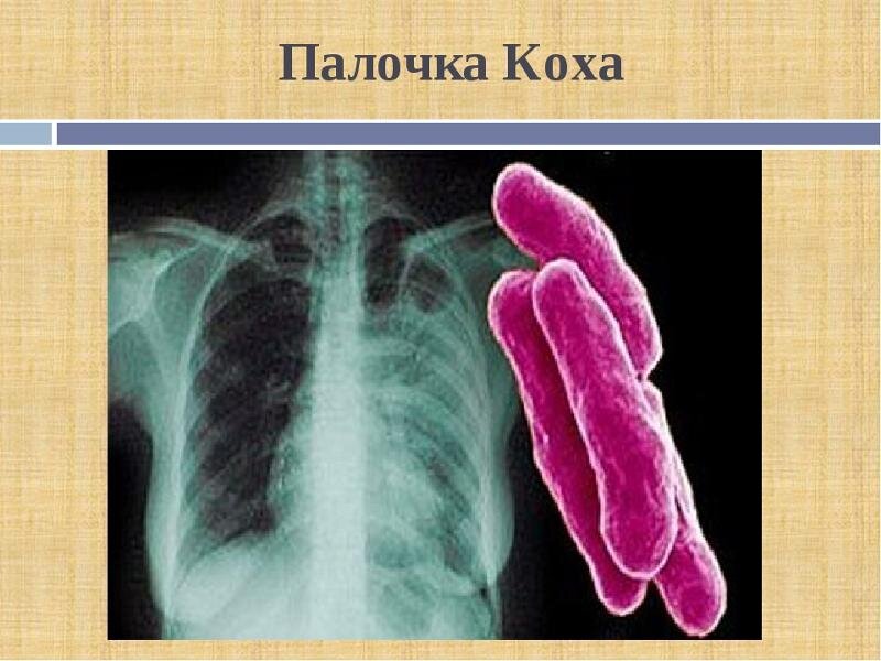 Из интернета