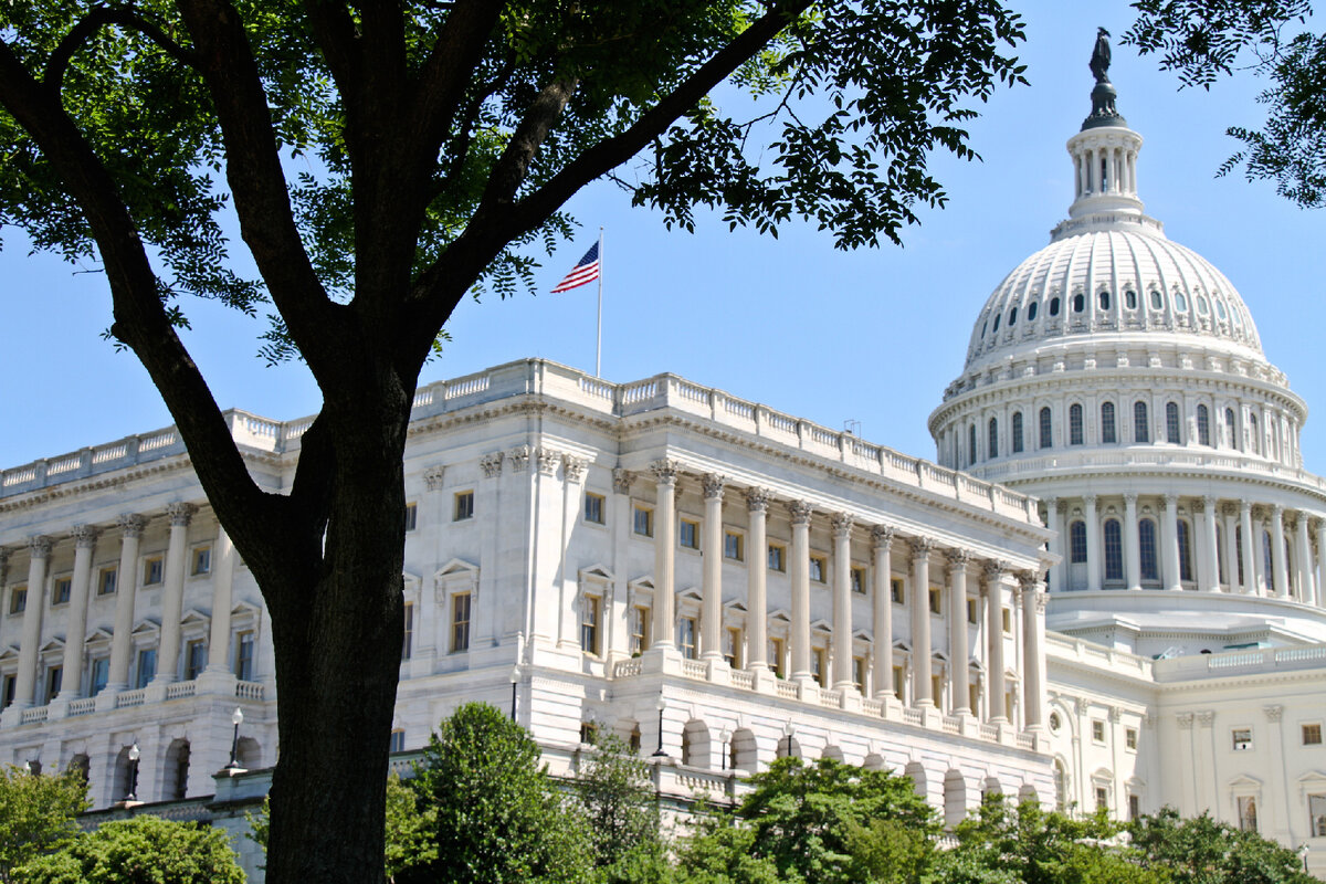   Фото: iStock/Ticlem