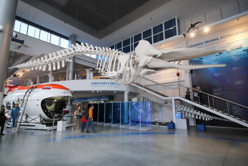 Музею Мирового океана - 33 года