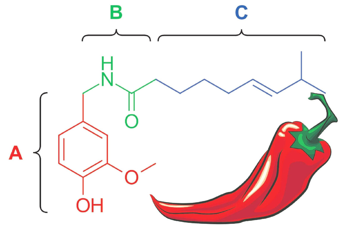 Химическая формула капсаицина