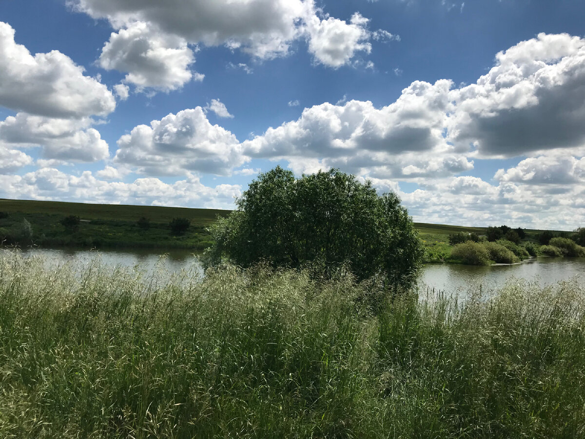 Александровский пруд с.Богословка. 