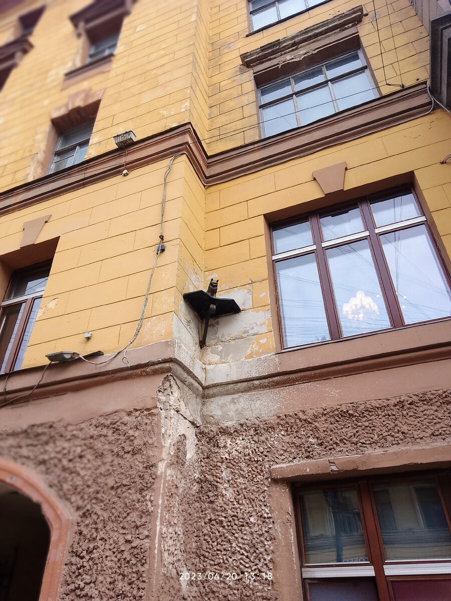 Садовая улица. Та самая кошка