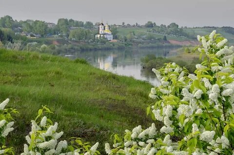 бывшая невестка ухаживает за бывшей свекровью