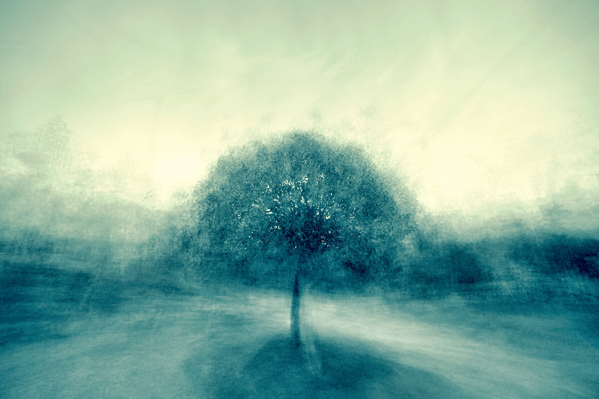 Photo by Jr Korpa on Unsplash
