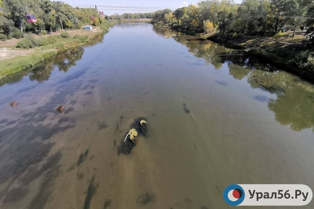    Приток в Ириклинское водохранилище снизился до 100 кубометров в сек. Его уровень пока растет