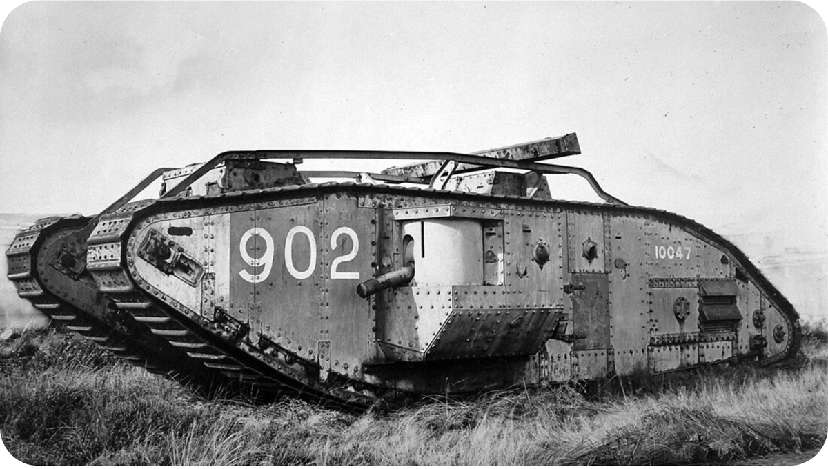 Фото из свободных источников