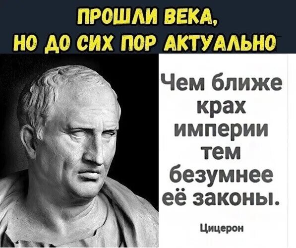 https://avatars.mds.yandex.net/i?id=3acd6b17b209d4e7959f9973934dbcc7_l-8496879-images-thumbs&n=13