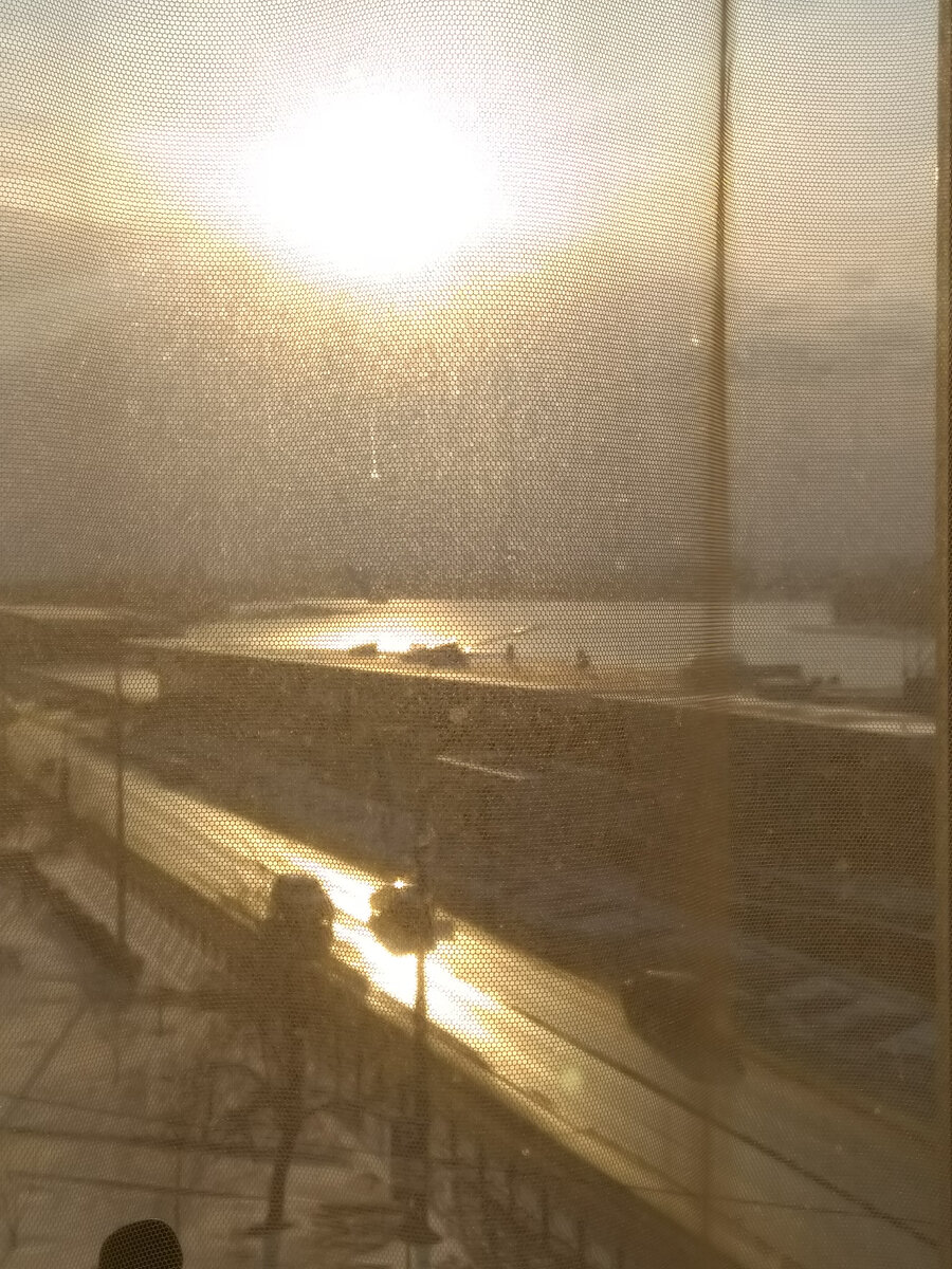 Фото автора. Утро.