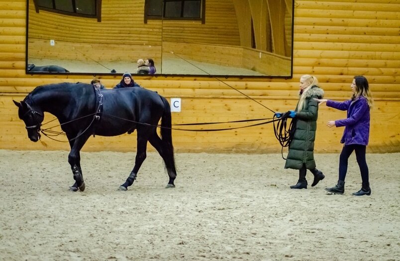 Мастер-класс в КСК Пегас, Москва