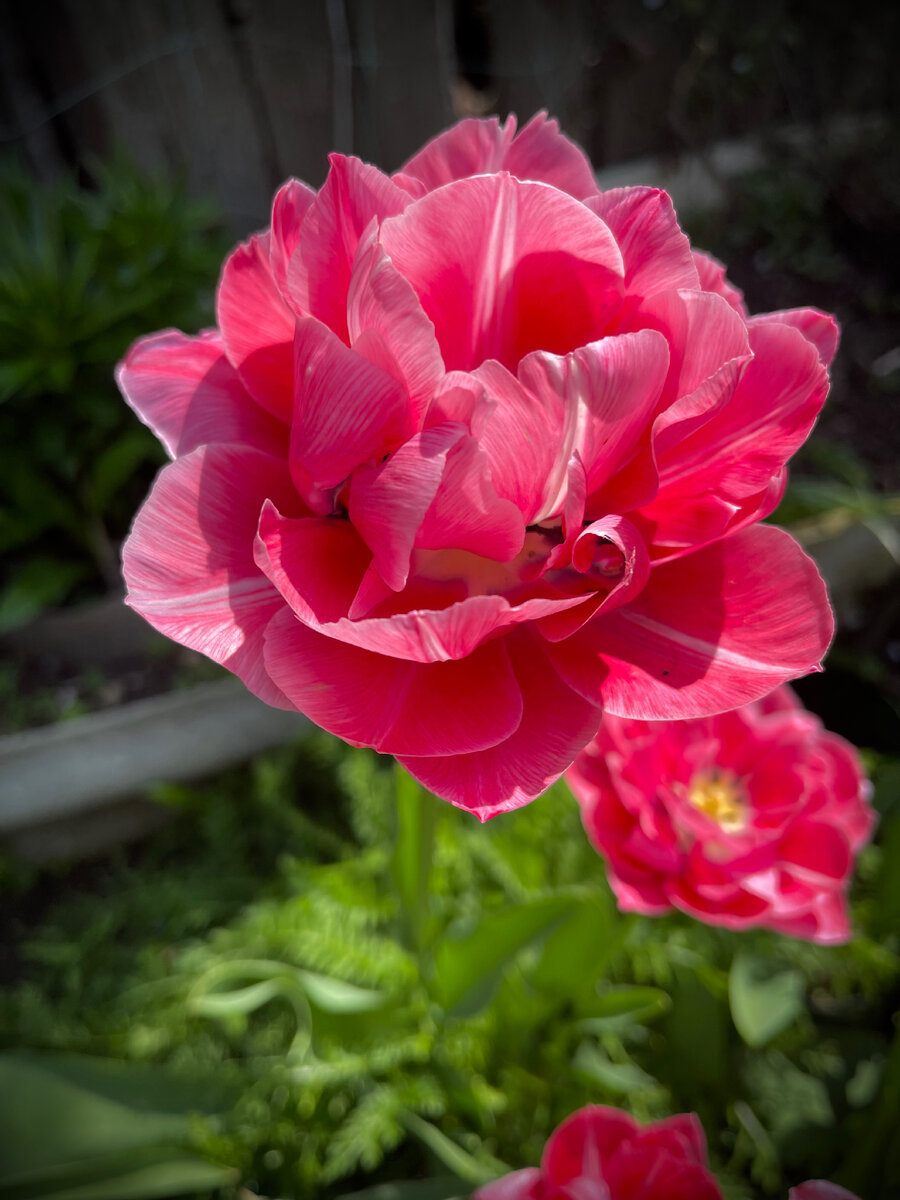 Г.Волгоград