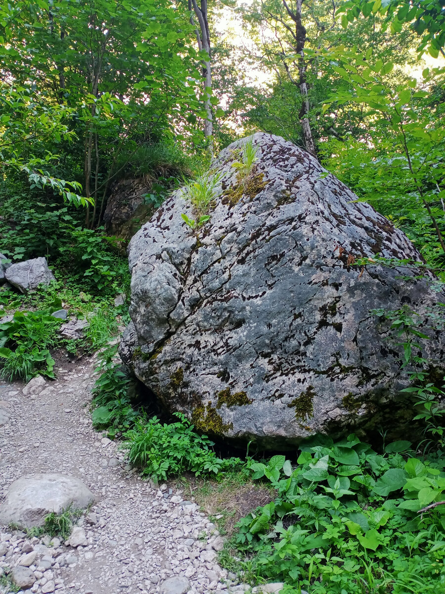 из личного архива.