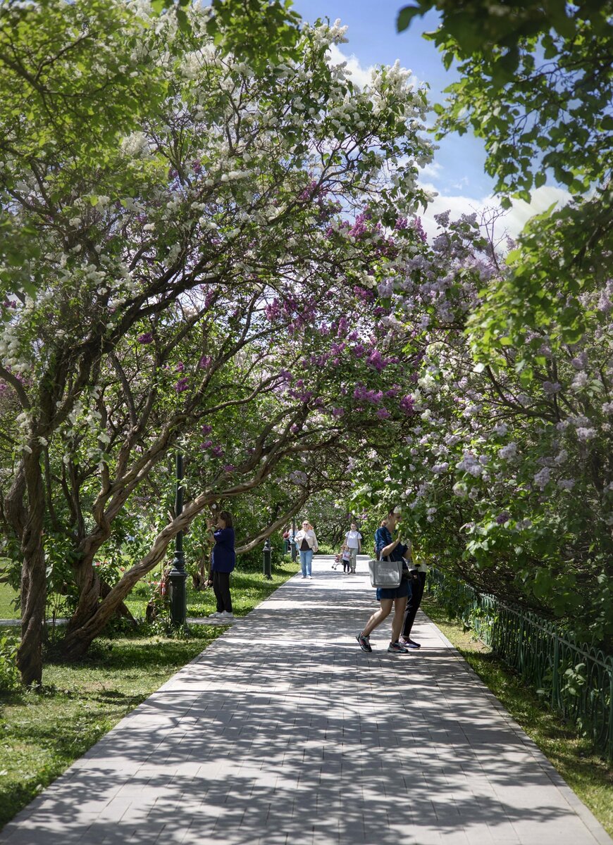 Фото ph_zakharenkova 26.05.2021г. Парк Сиреневый сад