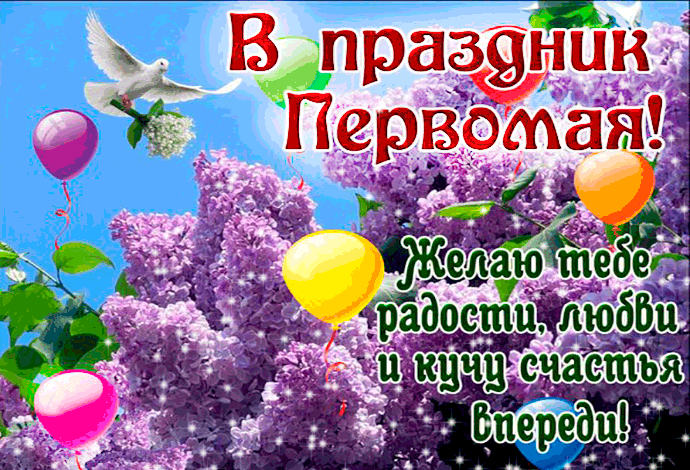 фото из сети
