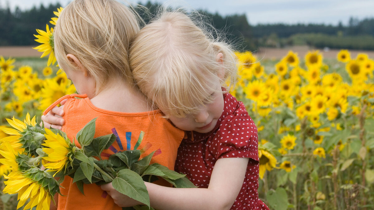 картинка взята из общедоступных источников.