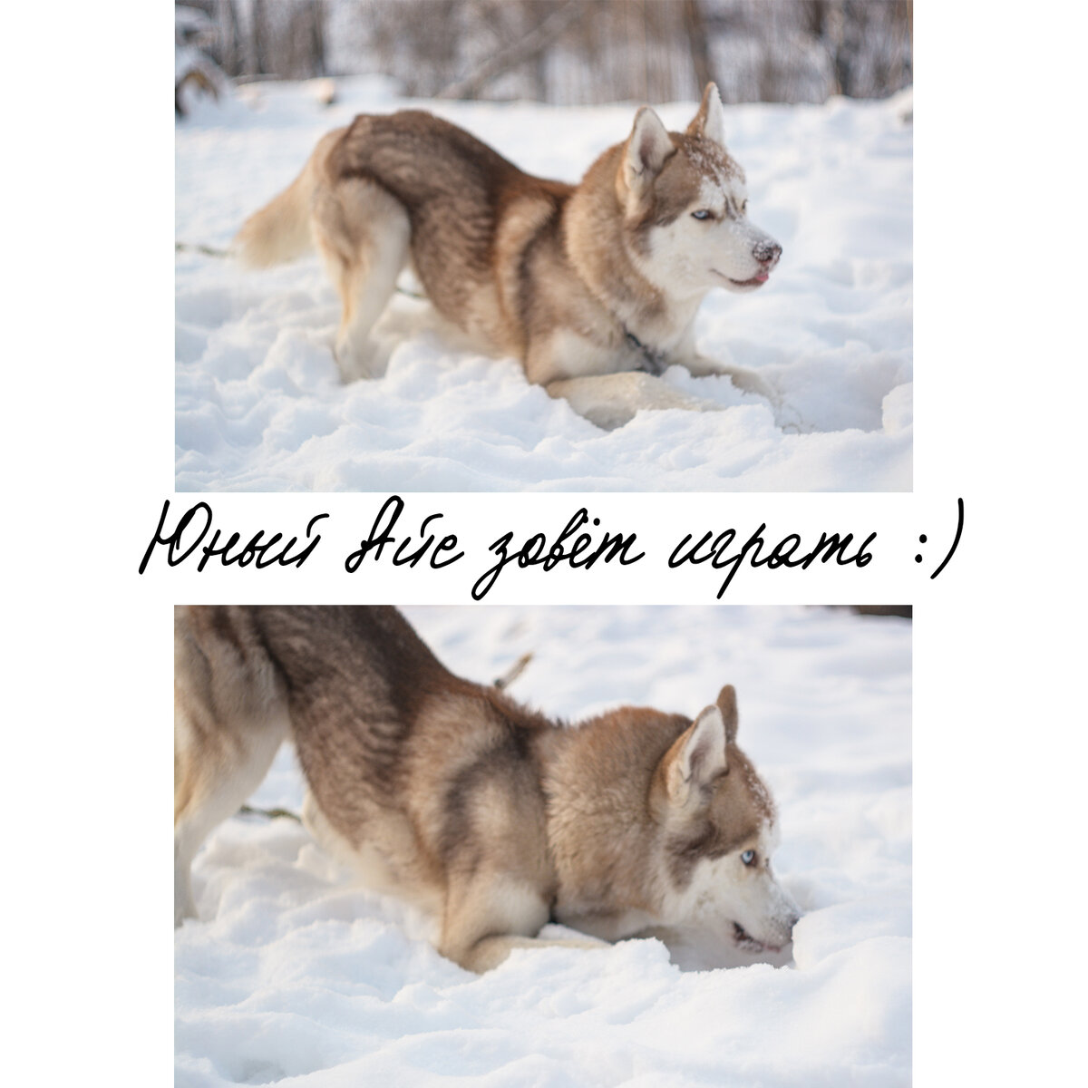 вопреки расхожему