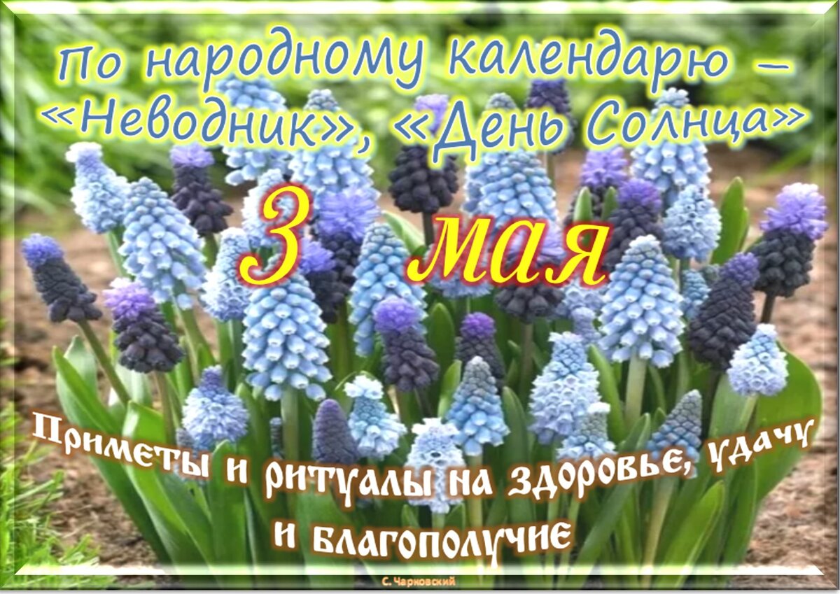 Встречаем новый день