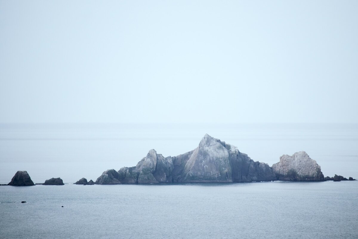 Картинка с бесплатного фотостока https://unsplash.com, автор saira