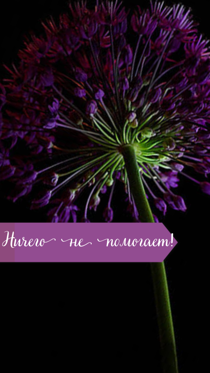 Картинка взята в интернете