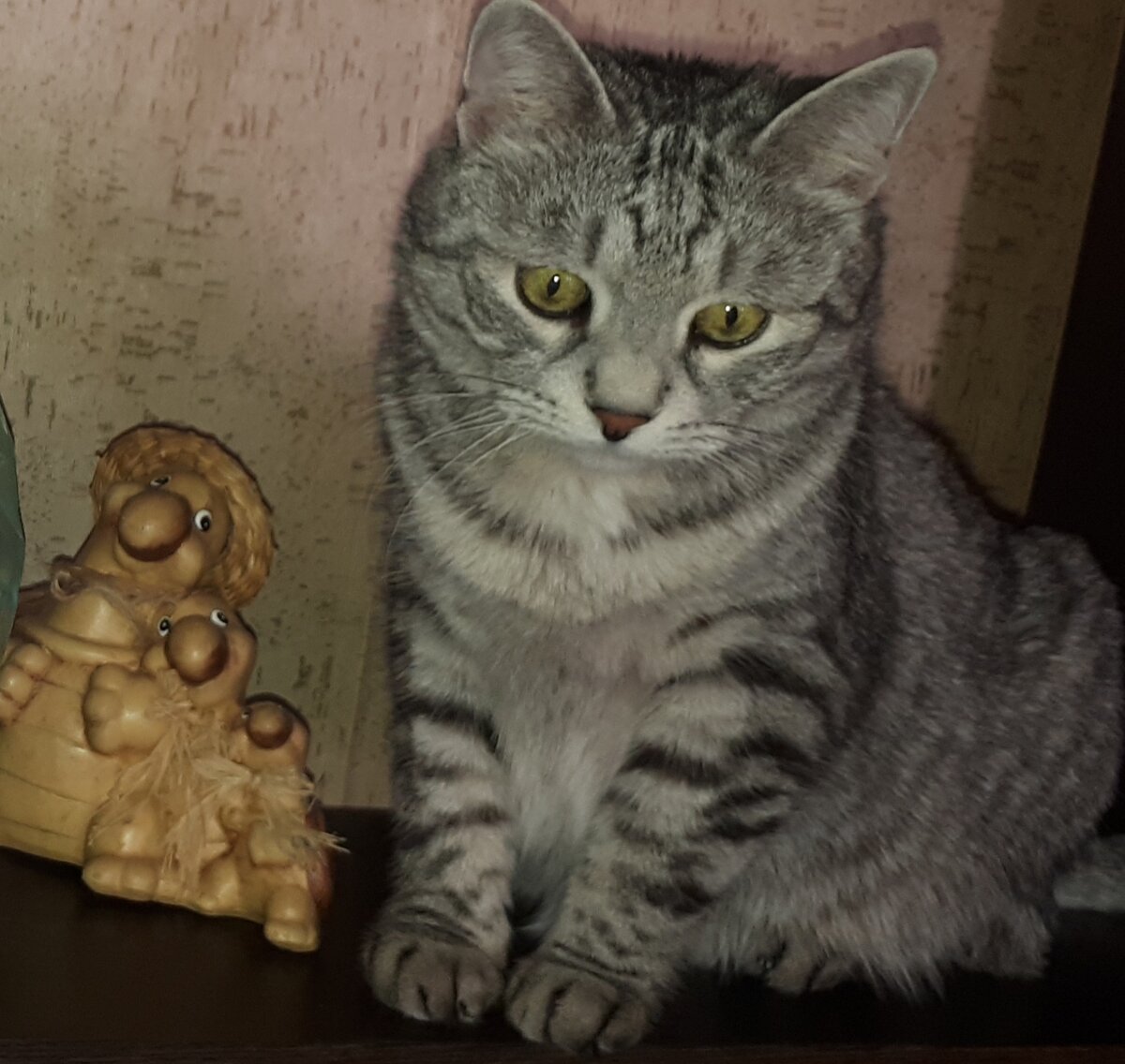 Мой Тошик тоже задумался!!!!!😋☝️☝️☝️☝️☝️☝️☝️☝️☝️☝️☝️Волнуется,но мы с ним и с Вами справляемся!!!!!!Глубоко дышим(вдох глубокий носом), выдох большой(ртом)!!!!!!Без паники,суеты,с БлагоДарностью примите трансформацию и изменения!!!😃🤩😍🙏🙏🙏