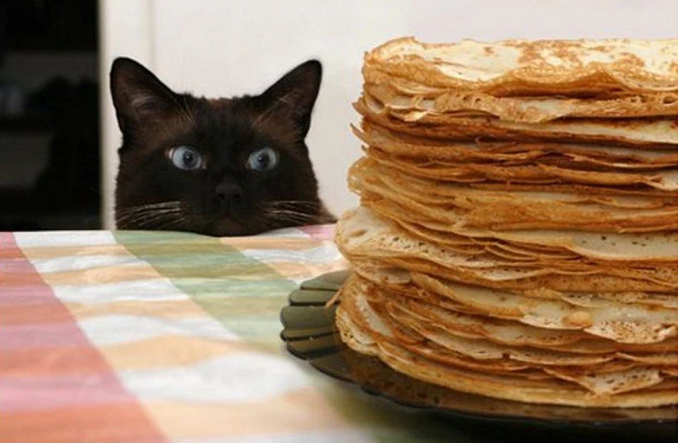 из интернета