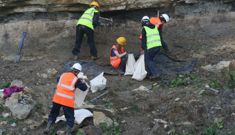 
Окаменелости среднеюрского периода относительно редки, а карьер Вудитон в Оксфордшире является местом находок. Фото: Natural History Museum, London