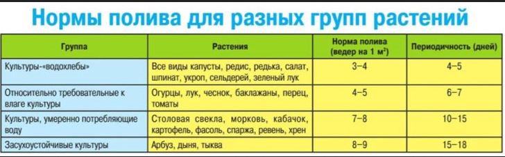 Сколько воды надо для полива. Таблица полива огородных растений. Норма полива растений при капельном поливе. Нормы полива овощей таблица. Нормы капельного полива овощей.