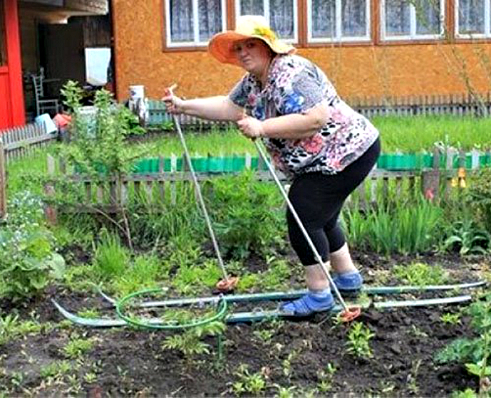 Мы и дачи. Огородники на даче. Про огород прикольные. Дачник на огороде. Женщины на прополке огорода.