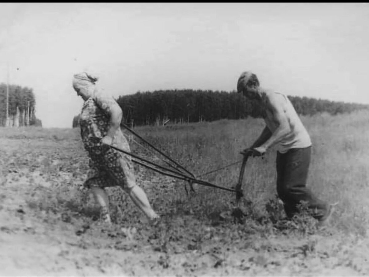 Стоковые фотографии по запросу Пожилые люди деревня