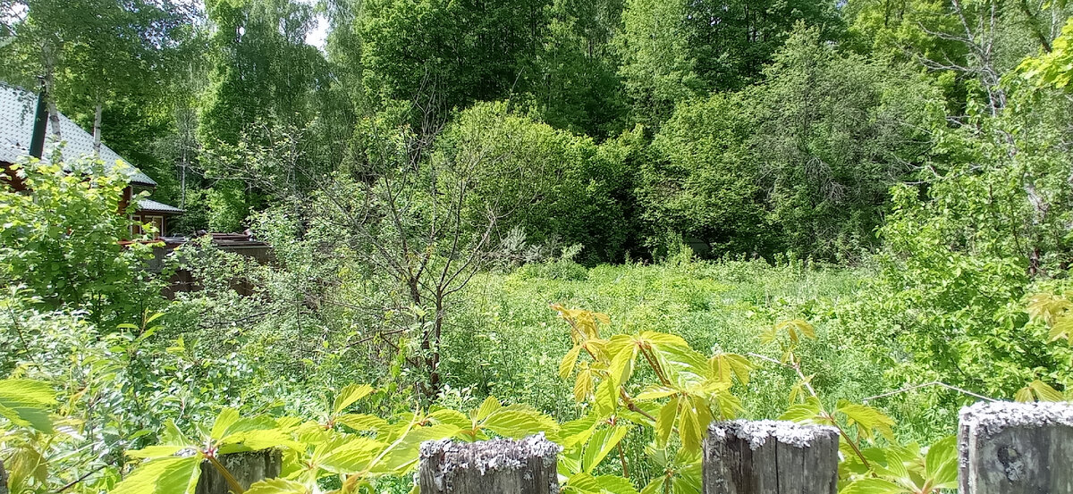 О том что тут дом стоял ничего не говорит... 