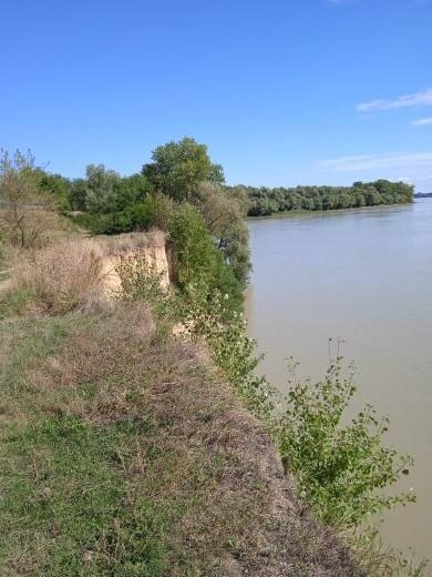 Это берег реки Кубань, фото автора. Это мой уголок.
