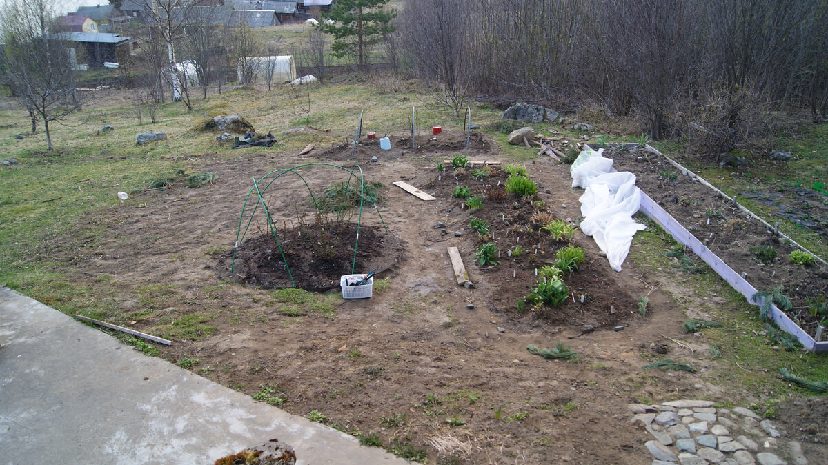 Вот что у нас вышло