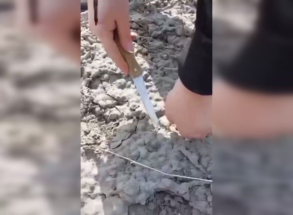    Фото: принтскрин видео