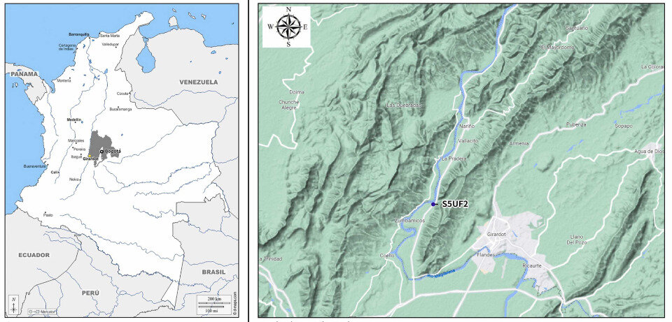   Claudia Rojas-Sepuleveda et al. / International Journal of Paleopathology, 2023