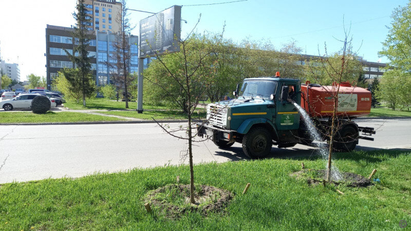     В Барнауле начали поливать деревья, кустарники и цветы. barnaul.org