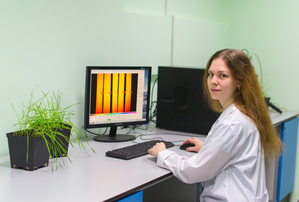Руководитель проекта Любовь Юдина проводит анализ флуоресценции хлорофилла растений пшеницы. Источник: Любовь Юдина