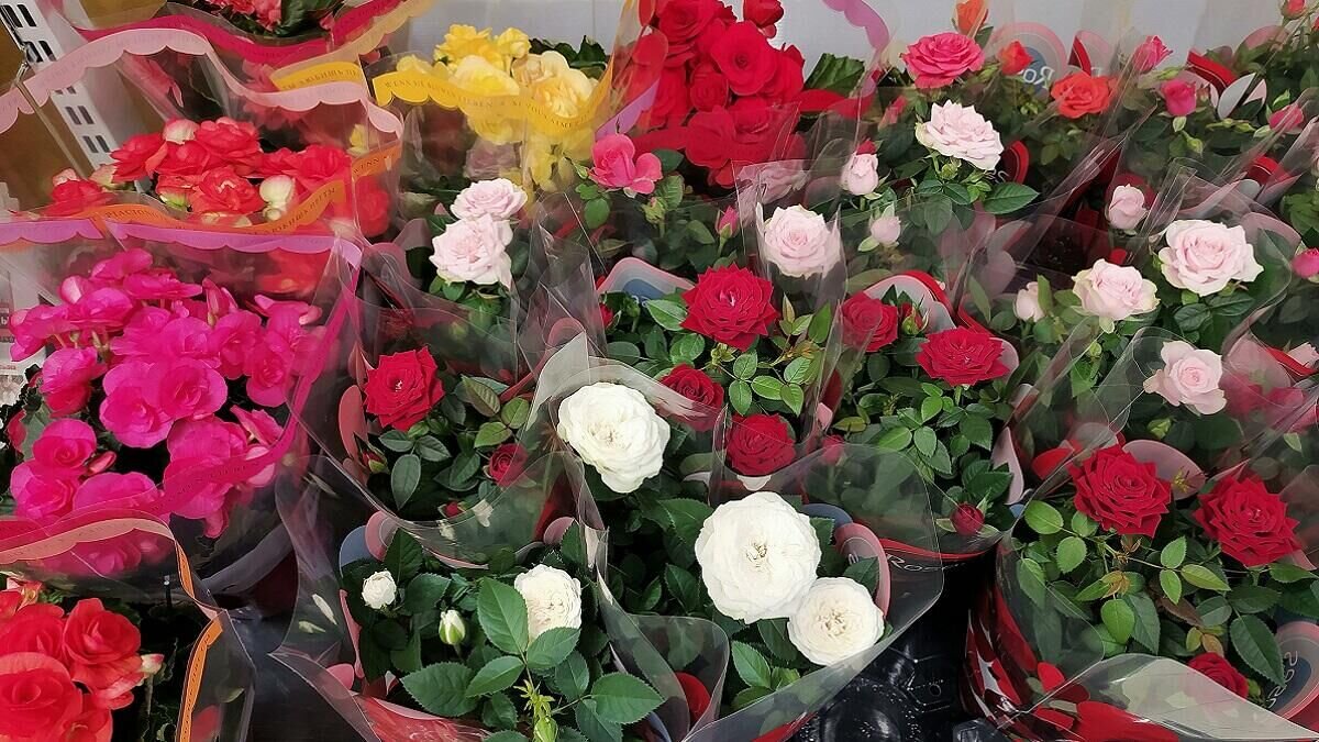    Букеты© Globallookpress Victor Lisitsyn