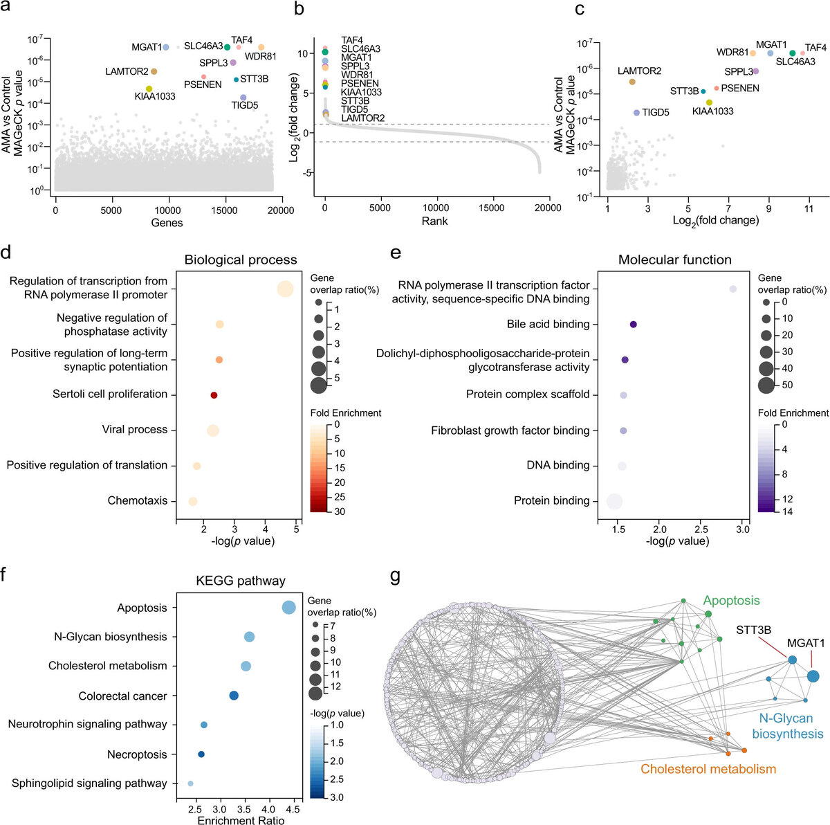   Bei Wang et al. / Nature Communications, 2023